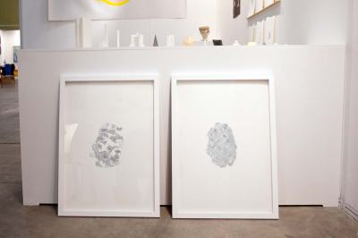 Omnivisión - David Cevallos