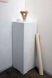 Omnivisión - David Cevallos