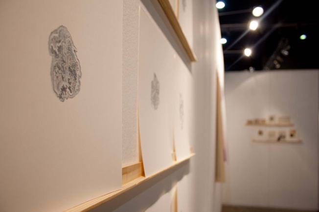 Omnivisión - David Cevallos