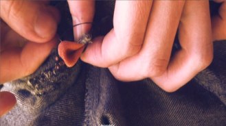 Se llega a serlo - Paulo Castello