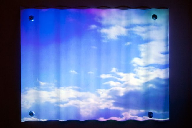 Techo falso - Andy Fierro