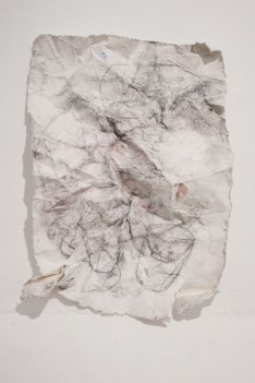 Quien tiene más saliva es quien traga más pinole - Eduardo González