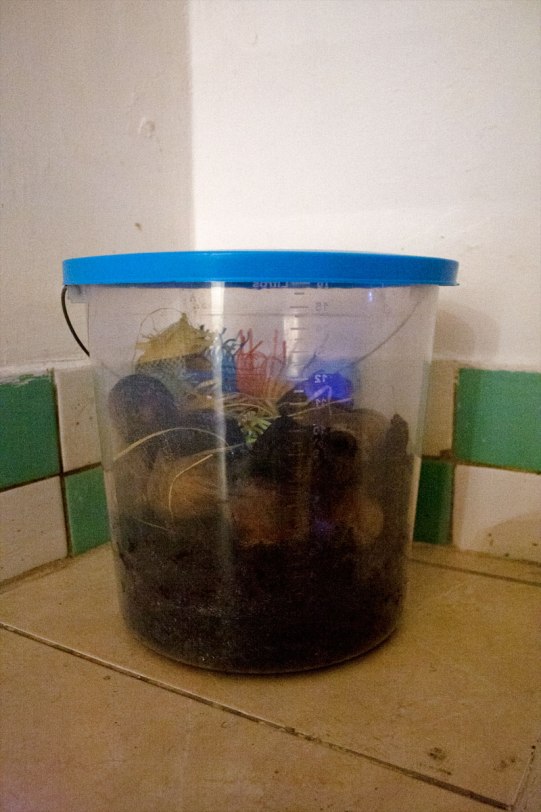 Viacrusis de los deseos. Camino de liberación - Verónica Cohen