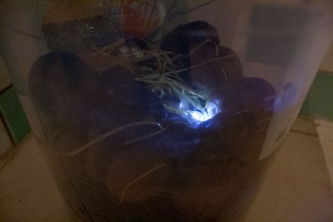 Viacrusis de los deseos. Camino de liberación - Verónica Cohen