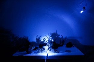 Viacrusis de los deseos. Camino de liberación - Verónica Cohen