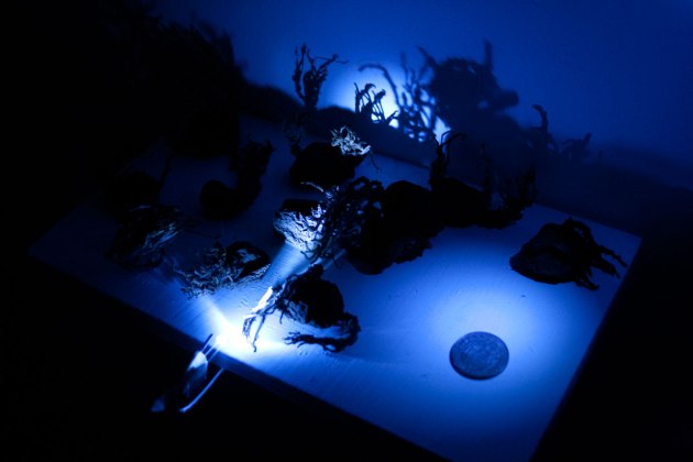 Viacrusis de los deseos. Camino de liberación - Verónica Cohen