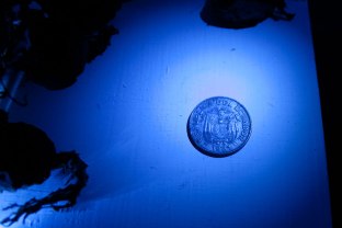 Viacrusis de los deseos. Camino de liberación - Verónica Cohen