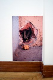 Pandora - Milena Costa